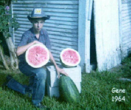 Gene & watermelons