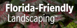 florida friendly landscaping